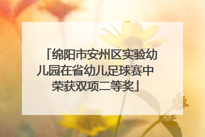 绵阳市安州区实验幼儿园在省幼儿足球赛中荣获双项二等奖