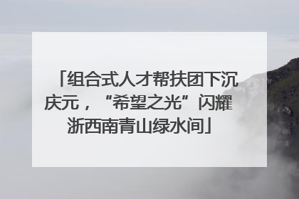 组合式人才帮扶团下沉庆元，“希望之光”闪耀浙西南青山绿水间