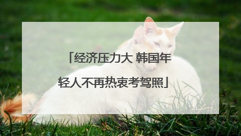 经济压力大 韩国年轻人不再热衷考驾照