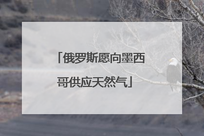 俄罗斯愿向墨西哥供应天然气