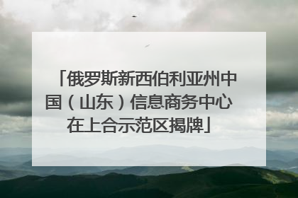 俄罗斯新西伯利亚州中国（山东）信息商务中心在上合示范区揭牌