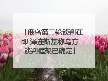 俄乌第二轮谈判在即 泽连斯基称乌方谈判框架已确定