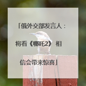 俄外交部发言人：将看《哪吒2》 相信会带来惊喜