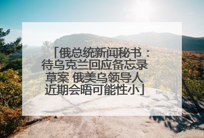 俄总统新闻秘书：待乌克兰回应备忘录草案 俄美乌领导人近期会晤可能性小