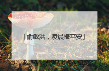 俞敏洪，凌晨报平安