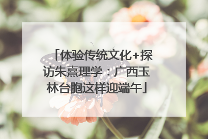体验传统文化+探访朱熹理学：广西玉林台胞这样迎端午