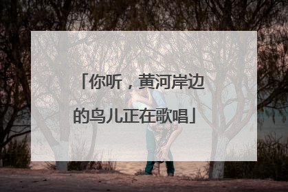 你听，黄河岸边的鸟儿正在歌唱