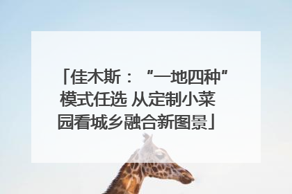 佳木斯：“一地四种” 模式任选 从定制小菜园看城乡融合新图景