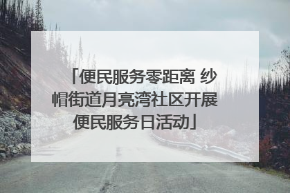 便民服务零距离 纱帽街道月亮湾社区开展便民服务日活动