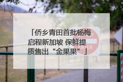 侨乡青田首批杨梅启程新加坡 保鲜提质售出“金果果”