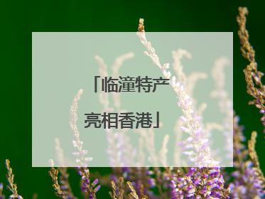 临潼特产亮相香港
