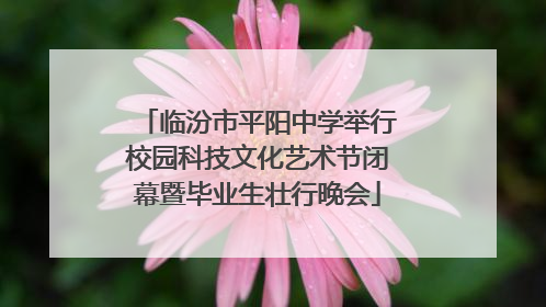 临汾市平阳中学举行校园科技文化艺术节闭幕暨毕业生壮行晚会