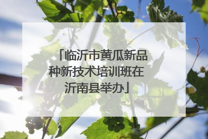 临沂市黄瓜新品种新技术培训班在沂南县举办