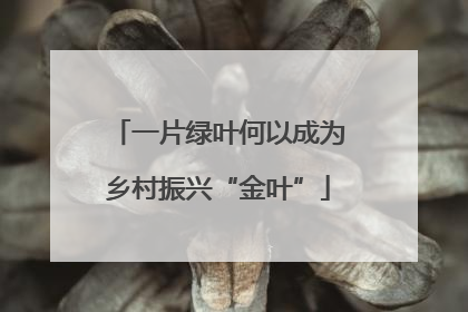 一片绿叶何以成为乡村振兴“金叶”