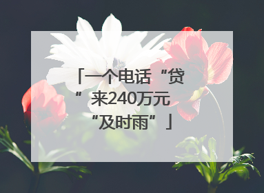 一个电话“贷”来240万元“及时雨”