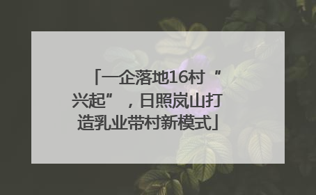 一企落地16村“兴起”，日照岚山打造乳业带村新模式