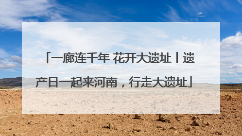 一廊连千年 花开大遗址丨遗产日一起来河南，行走大遗址