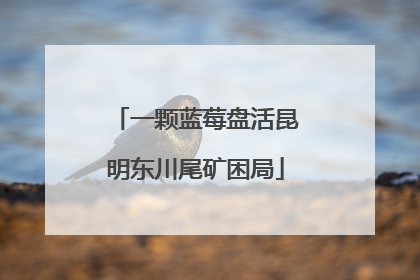 一颗蓝莓盘活昆明东川尾矿困局