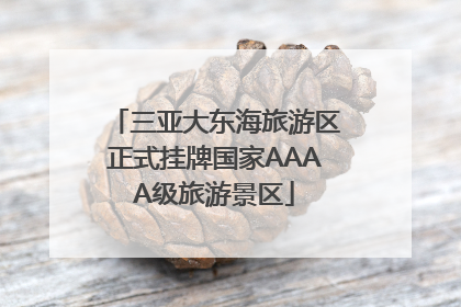 三亚大东海旅游区正式挂牌国家AAAA级旅游景区