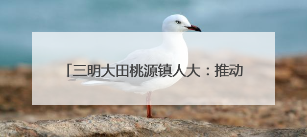 三明大田桃源镇人大：推动河流治理，筑牢生态屏障
