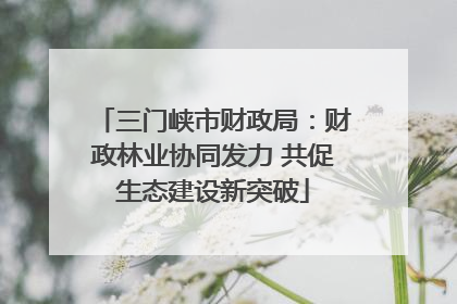 三门峡市财政局：财政林业协同发力 共促生态建设新突破