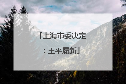 上海市委决定：王平履新