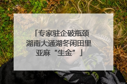 专家驻企破瓶颈 湖南大通湖冬闲田里亚麻“生金”