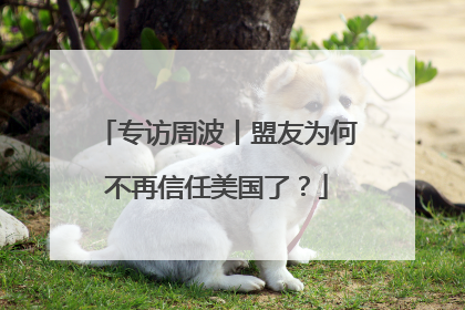 专访周波丨盟友为何不再信任美国了？