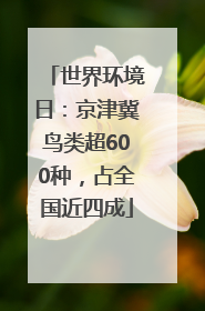 世界环境日：京津冀鸟类超600种，占全国近四成