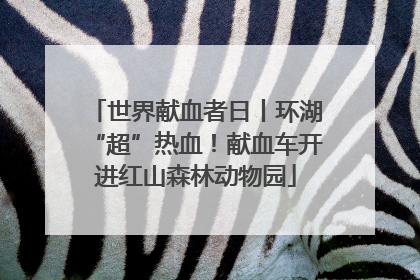 世界献血者日丨环湖“超”热血！献血车开进红山森林动物园