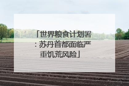 世界粮食计划署：苏丹首都面临严重饥荒风险