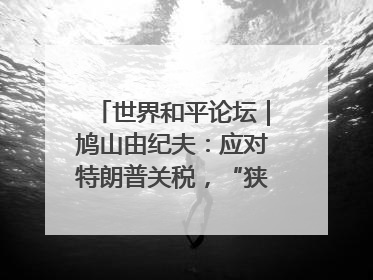 世界和平论坛｜鸠山由纪夫：应对特朗普关税，“狭路相逢勇者胜”