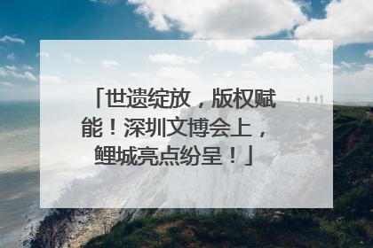 世遗绽放，版权赋能！深圳文博会上，鲤城亮点纷呈！