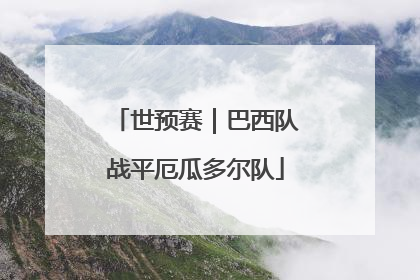 世预赛｜巴西队战平厄瓜多尔队
