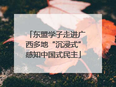 东盟学子走进广西多地“沉浸式”感知中国式民主