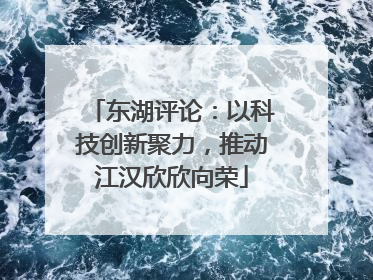 东湖评论：以科技创新聚力，推动江汉欣欣向荣