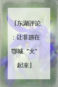 东湖评论：让非遗在鄂城“火”起来