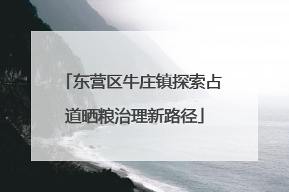 东营区牛庄镇探索占道晒粮治理新路径