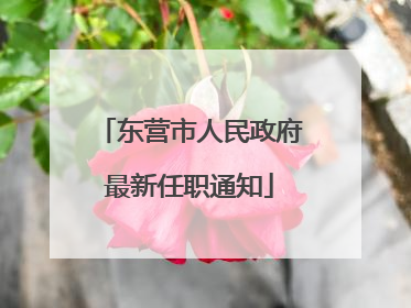 东营市人民政府最新任职通知