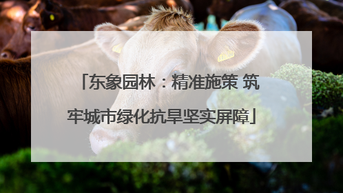 东象园林：精准施策 筑牢城市绿化抗旱坚实屏障
