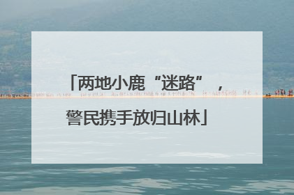 两地小鹿“迷路”，警民携手放归山林