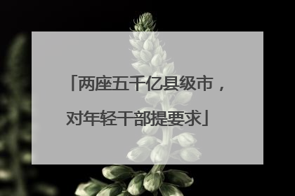 两座五千亿县级市，对年轻干部提要求
