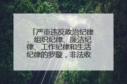 严重违反政治纪律、组织纪律、廉洁纪律、工作纪律和生活纪律的罗璇，非法收受他人巨额财物