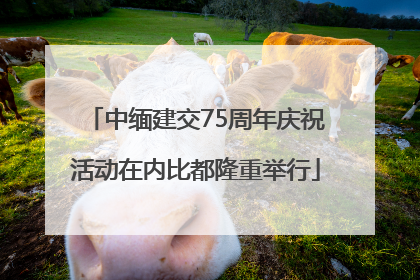 中缅建交75周年庆祝活动在内比都隆重举行