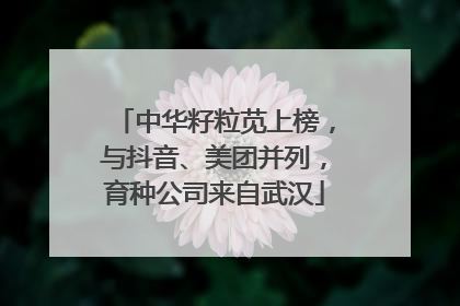 中华籽粒苋上榜，与抖音、美团并列，育种公司来自武汉