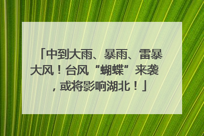 中到大雨、暴雨、雷暴大风！台风“蝴蝶”来袭，或将影响湖北！