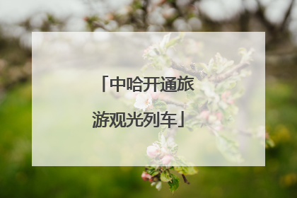 中哈开通旅游观光列车