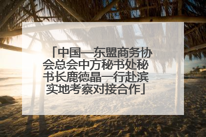 中国—东盟商务协会总会中方秘书处秘书长鹿德晶一行赴滨实地考察对接合作