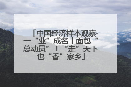 中国经济样本观察·一“业”成名丨面包“总动员”！“走”天下也“香”家乡