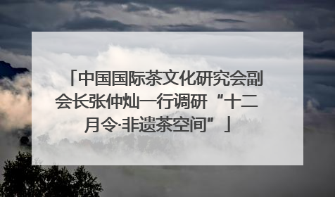 中国国际茶文化研究会副会长张仲灿一行调研“十二月令·非遗茶空间”